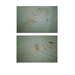 bath blood (dyptich)